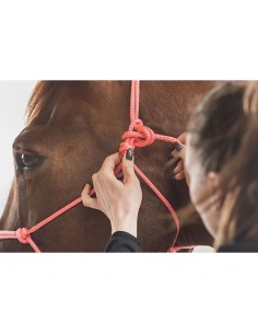 Licol éthologique et biothane Horse and Ropes, sellerie Horse and Co