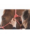 horse-and-ropes-licol-ethologique-uni