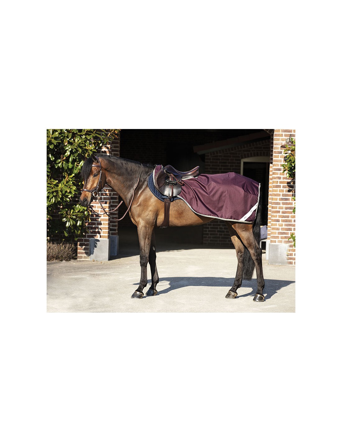 Couvre Rein Amigo Competition Ripstop Horseware