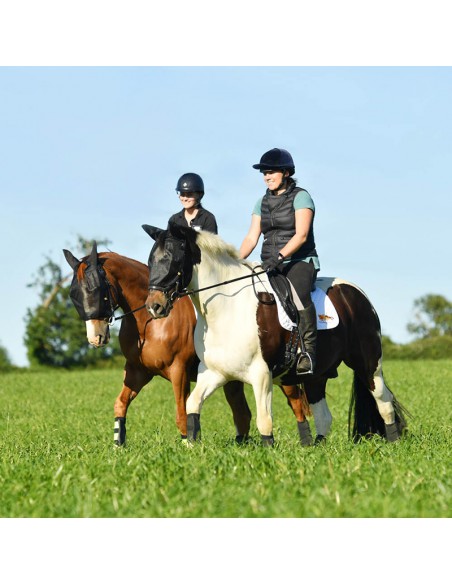 Bonnet anti-mouches MIDI avec oreilles - grossiste équitation